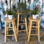 Stools make great Plant Stands