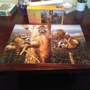 Photo of 300 piece puzzles w/large pieces