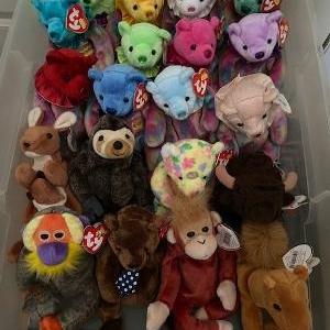 Photo of BEANIE BABIES COLLECTION