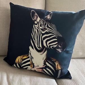 Photo of Accent Pillow