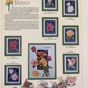 Photo of Roses Stamp Set