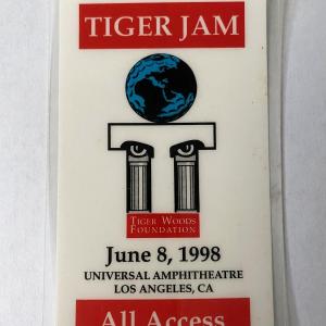 Photo of Tiger Jam 1998 Backstage Pass
