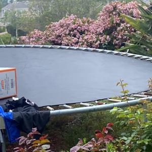 Photo of Huge Trampoline for sale- Today Only