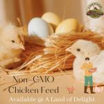 Non-GMO Chicken Feed 50lb