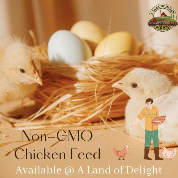 Photo of Non-GMO Chicken Feed 50lb