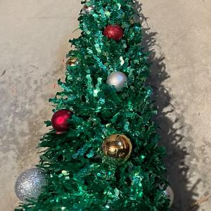 Photo of Christmas trees
