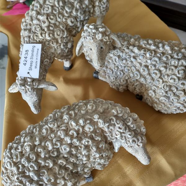 Photo of New Set of sheep