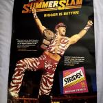 Vintage 1996 WWF SUMMERSLAM Poster SHAWN MICHAELS Rare