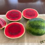 Faux watermelon 5 pcs