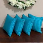 Any Decorator Pillow Set 4/$20