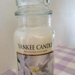White Gardenia