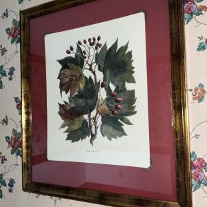 Photo of Framed Berry Print