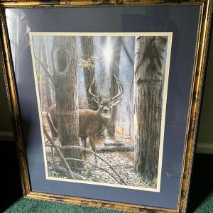 Photo of Framed Buck Print, Kevin Daniel
