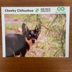 Cheeky Chihuahua 500 piece puzzle