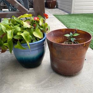 Photo of Pair of Ceramic Planter Pots One with Live Plant