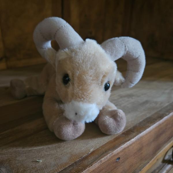Photo of Ram stuffed animal 