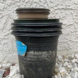 Photo of Lot of Plastic Medium & Small Sized Planter Pots
