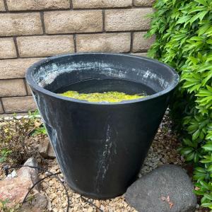 Photo of Large Multi Gallon Cone Shaped Water Planter