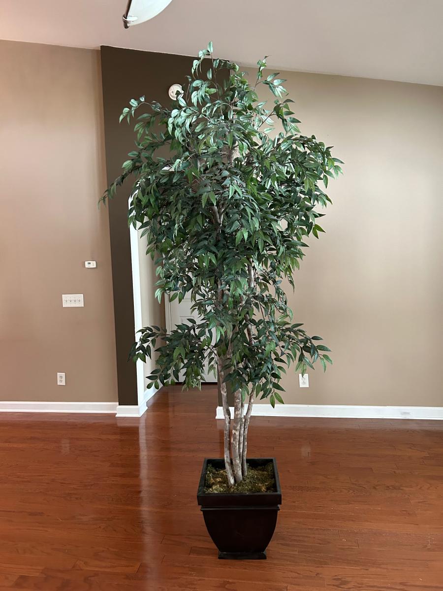 Accent Tree snaplist