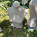 Display Bust
