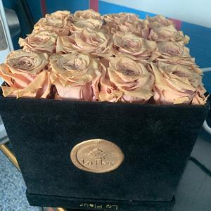 Photo of Eternal Roses