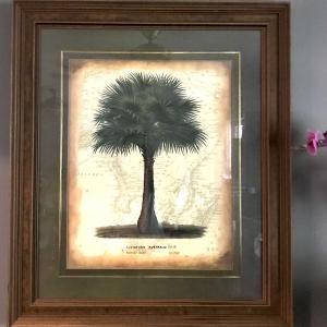 Photo of Large Palm framed picture