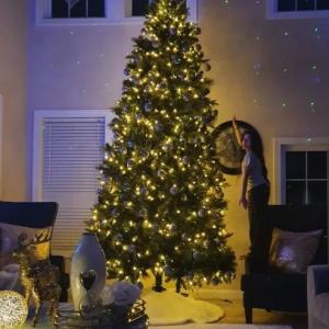 Photo of 12' pre-lit Christmas Tree - sells for $600
