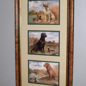 Photo of 3 Glass Framed Labrador Retriever Duck Hunting Prints