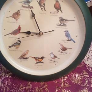 Photo of Bird Clock