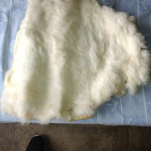 Photo of Cured Rabbit Fur - $10.