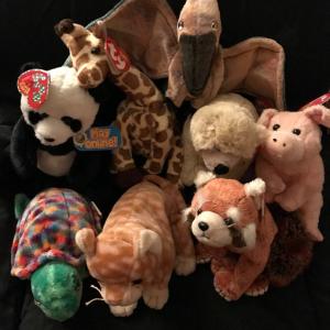 Photo of Beanie Babies and bears, rabbits, cats and ducks
