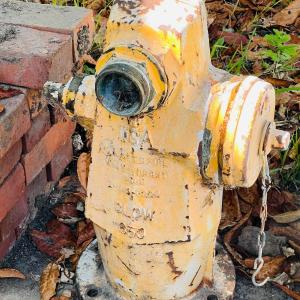 Photo of Vintage Yellow Fire Hydrant