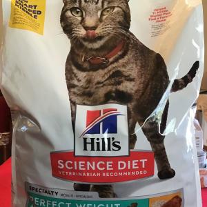 Photo of Cat food 