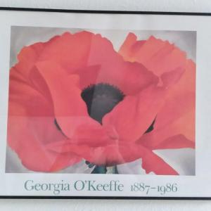 Photo of Georgia O'Keeffe Framed Print