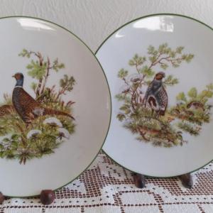 Photo of 2 Baravian Bareuther China Plates with Pheasants