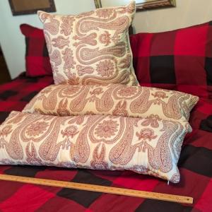 Photo of Set of 3 Pottery Barn Paisley Accent Pillows