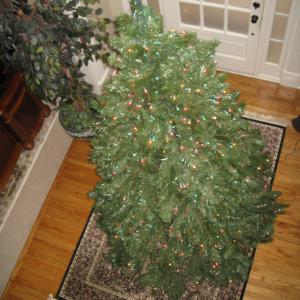 Photo of Christmas Tree - 12FT Tall