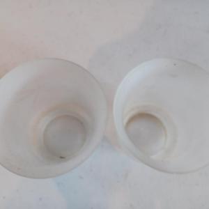Photo of Art Nouveau etched/frosted fixture shade