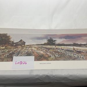Photo of Jack Deloney Signed and Numbered Print "Hedgeroe Cotton" 410/950