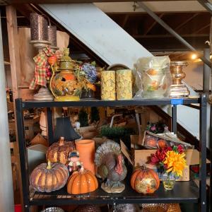 Photo of LOT 258R: Basement Finds: Autum & Fall