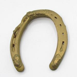 Photo of Brass Forged Gold Tone West Displayable Hanging Decor Horseshoe