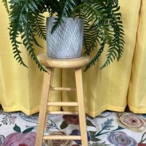 Photo of Stools Make Great Plant Stands!