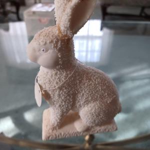 Photo of 'snow baby" bunny
