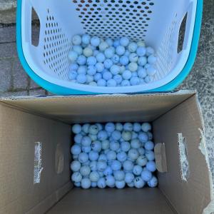 Photo of LOT 185S: Big Collection of Loose Golf Balls