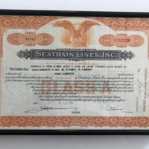 Photo of Framed Seatrain Lines Inc. Stock Certificate