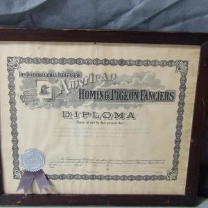 Photo of 1938 American Homing Pigeon Fanciers Diploma