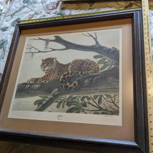Photo of 1975 John A. Ruthven Jaguar Felis onca Masterpiece Series Signed Numbered Print