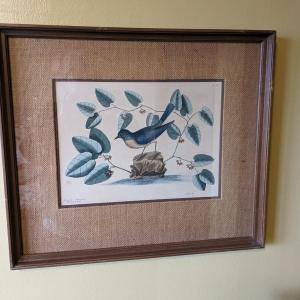 Photo of COA Catesby Blue Bird Print