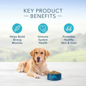 Photo of Blue Buffalo Life Protection Formula Natural Adult Dry Dog Food, Chicken