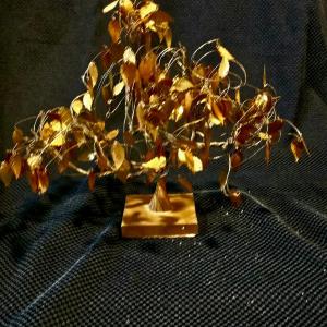 Photo of Golden Wire Wrap Tree